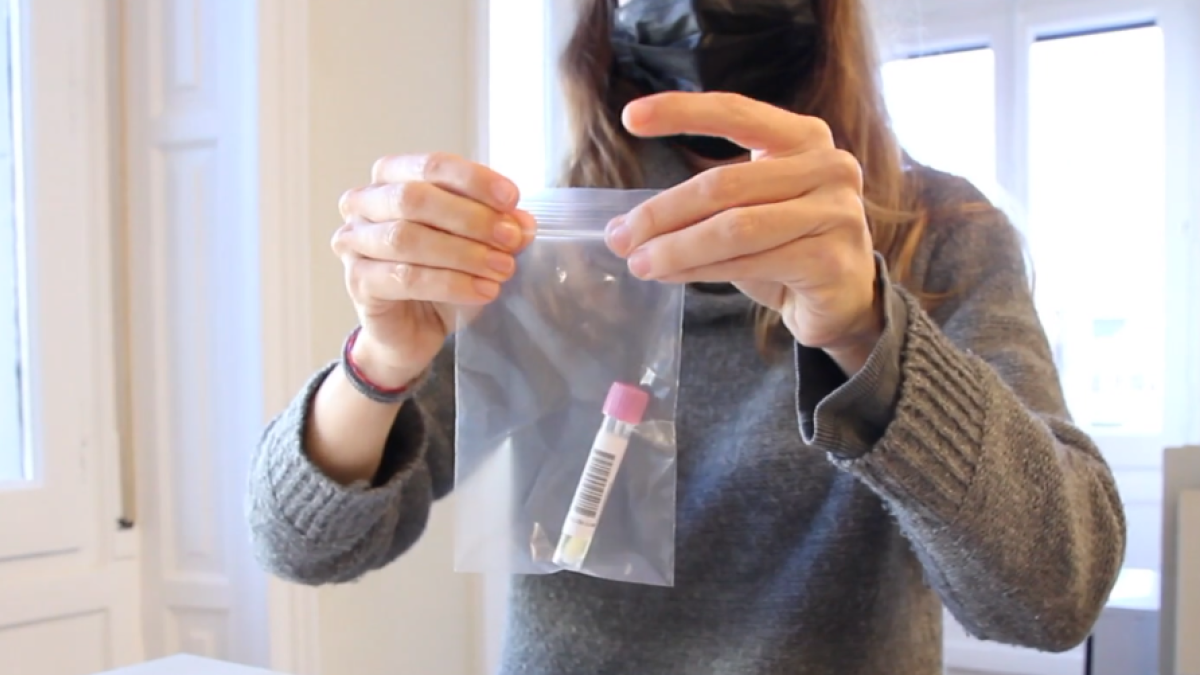 Los cribados a los profesionales educativos empezarán este lunes, coincidiendo con el retorno escolar