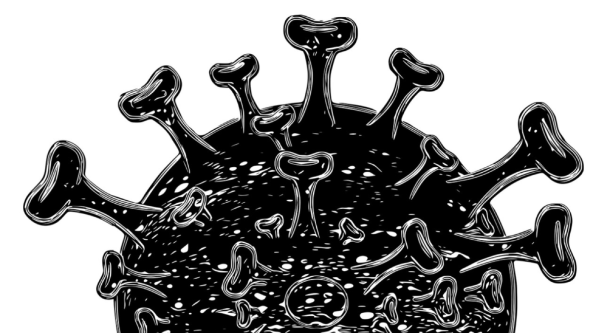 ¿Cómo funciona la vacuna proteica?