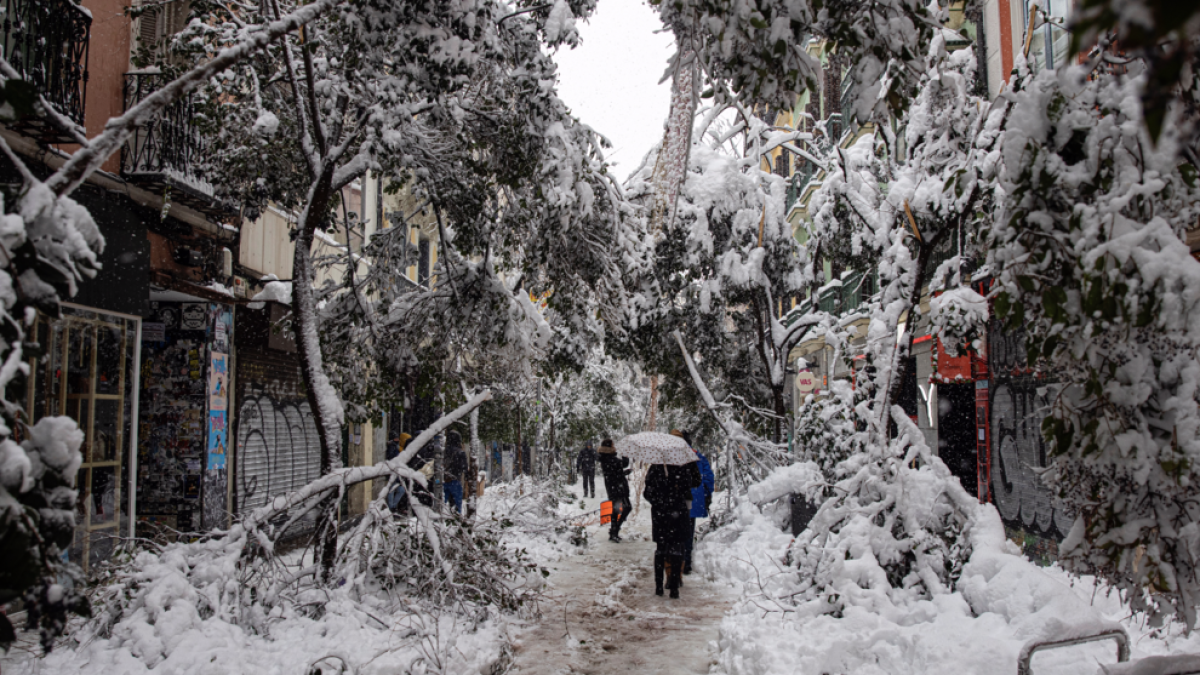 Filomena col·lapsa gran part d'Espanya després de dos dies de temporal