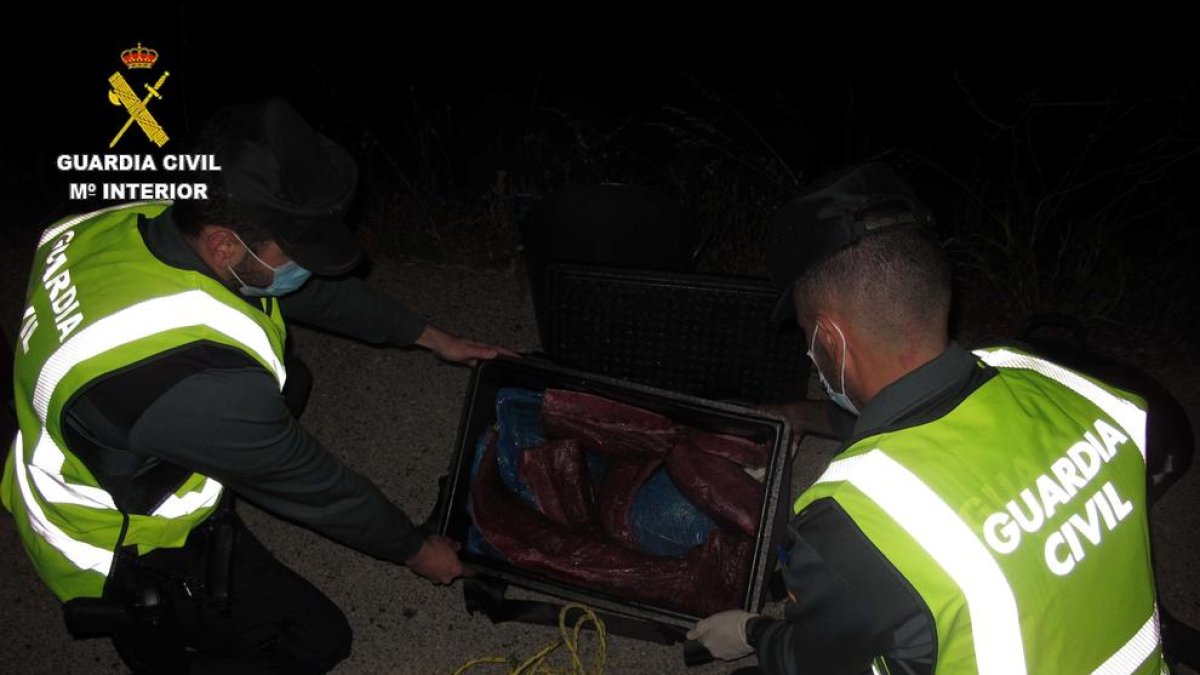 La Guardia Civil intercepta 28,5 kg de atún rojo en época de veda en Riumar