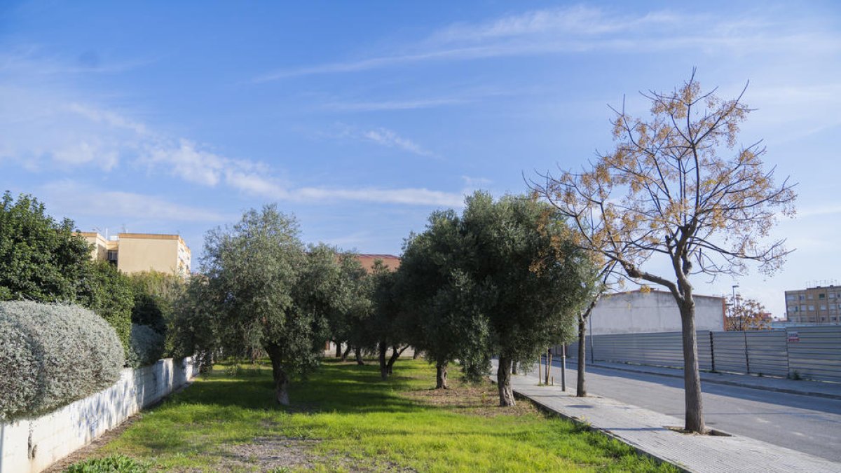El Ayuntamiento de Tarragona prescinde de una empresa de mantenimiento de jardines