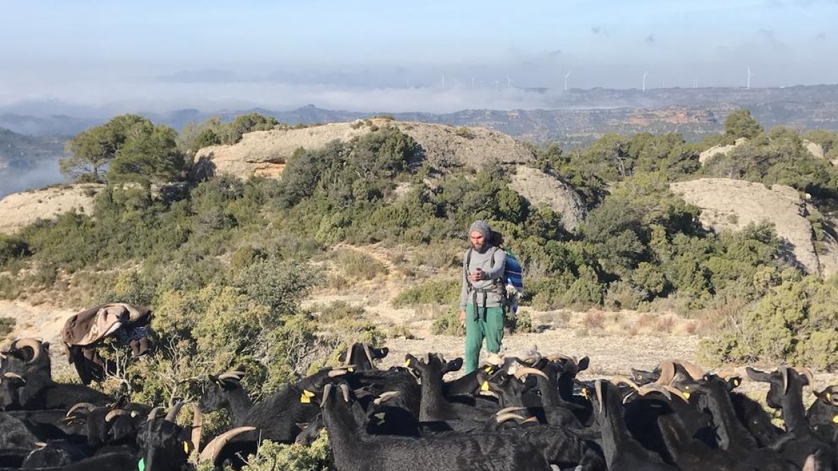 En busca de los mejores pastos