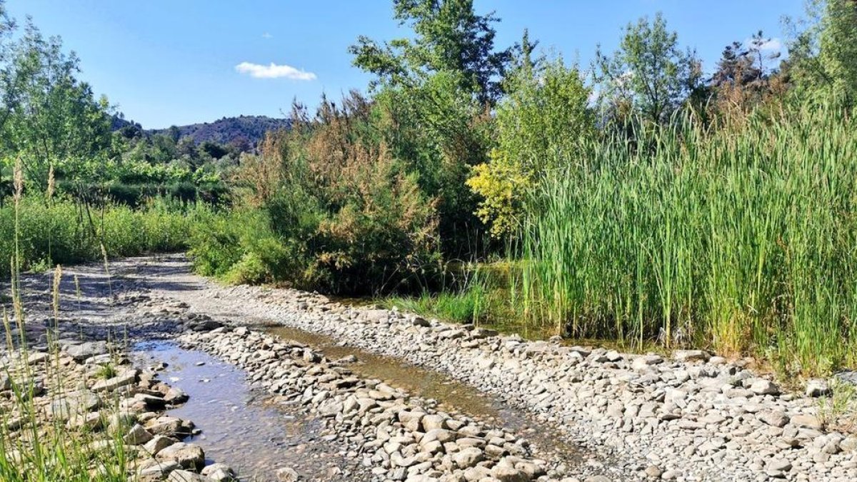 La Plataforma Río Siurana denuncia un nuevo trasvase que deja casi sin agua el curso del río