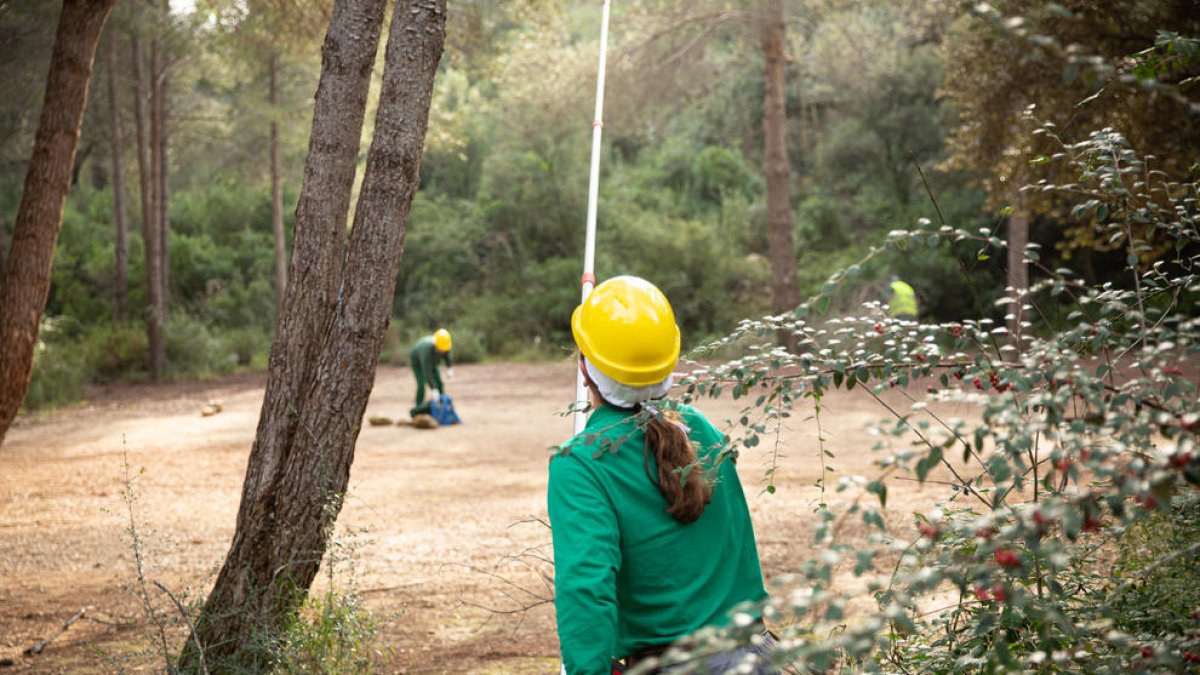18 persones del Pla d'Ocupació Municipal d'Àmbit Forestal treballen aquest mes al Pont del Diable