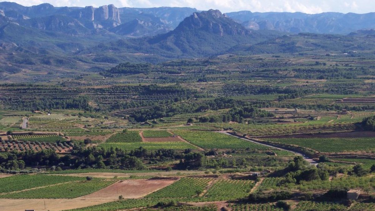 El COPATE promueve un banco de tierras ebrense para incorporar jóvenes campesinos