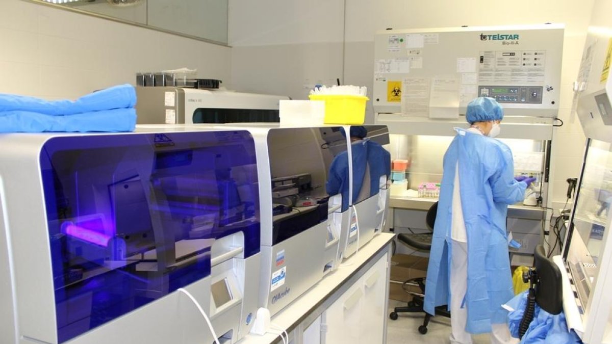El laboratorio del Hospital Universitario Joan XXIII supera las 200.000 PCR procesadas