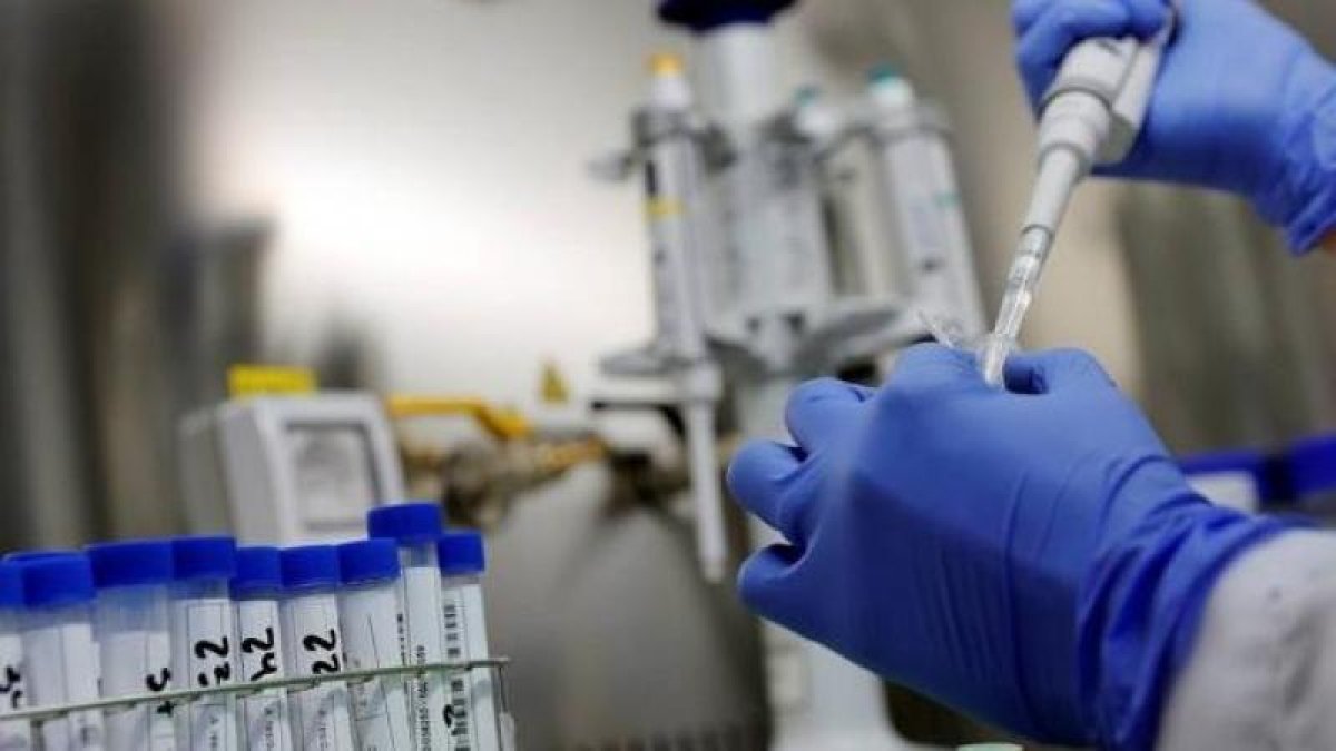 Descifran el mapa genético más preciso y completo del virus que provoca la covid