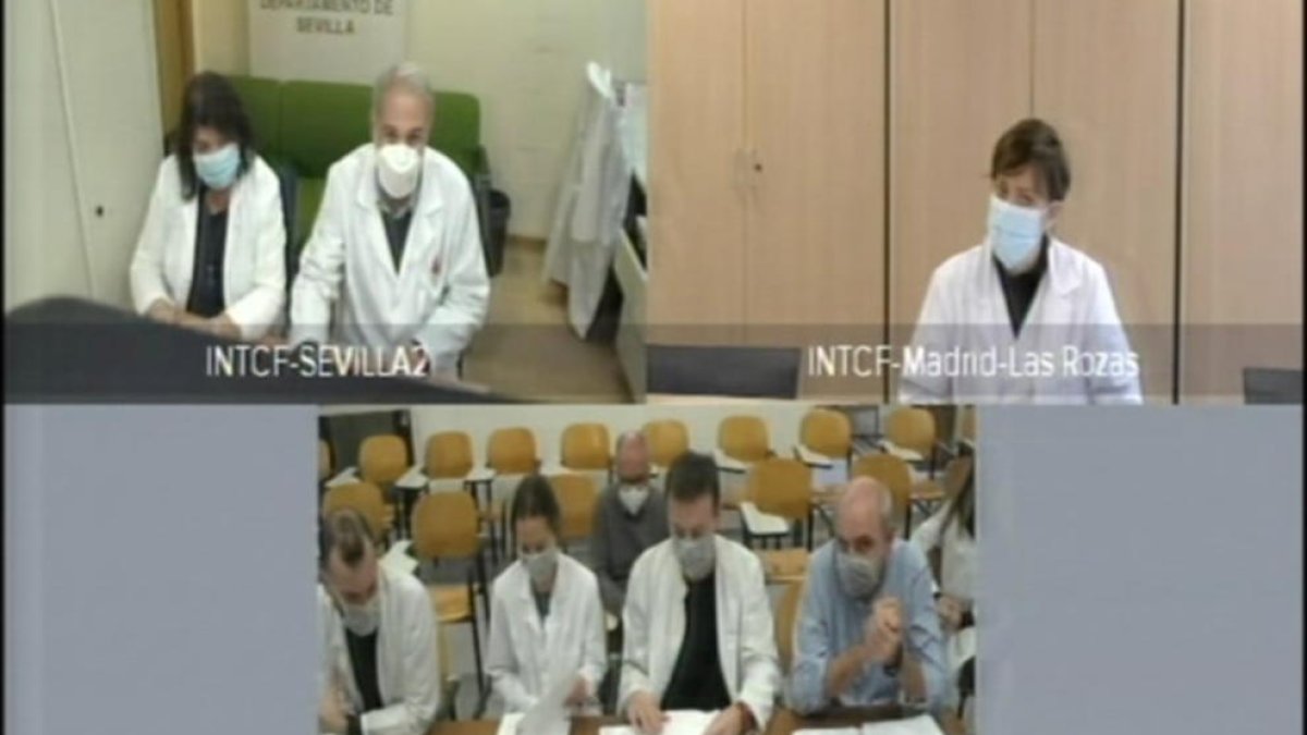 Forenses expliquen que les restes humanes de l'explosió d'Alcanar corresponien a dos perfils genètics