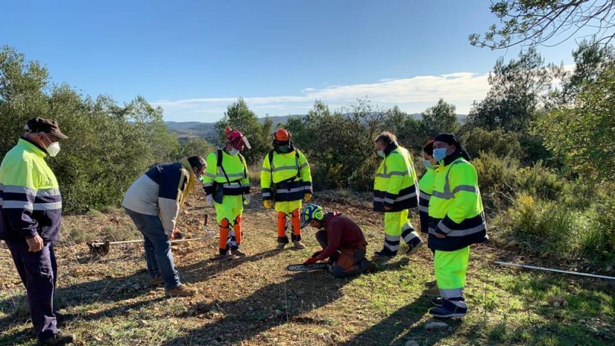 Un pla d'ocupació impulsat per la Diputació millora entorns naturals de la comarca del Tarragonès