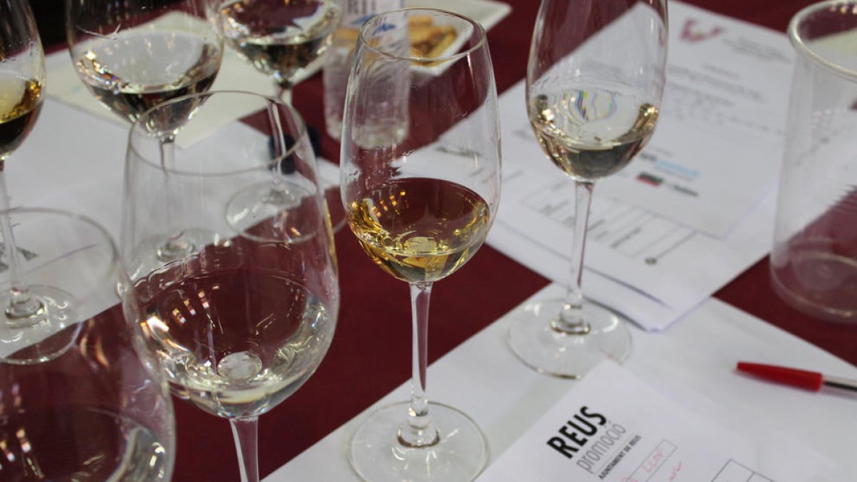 Reus acogerá la evaluación de expertos, la votación y la gala final de los Premios Vinari