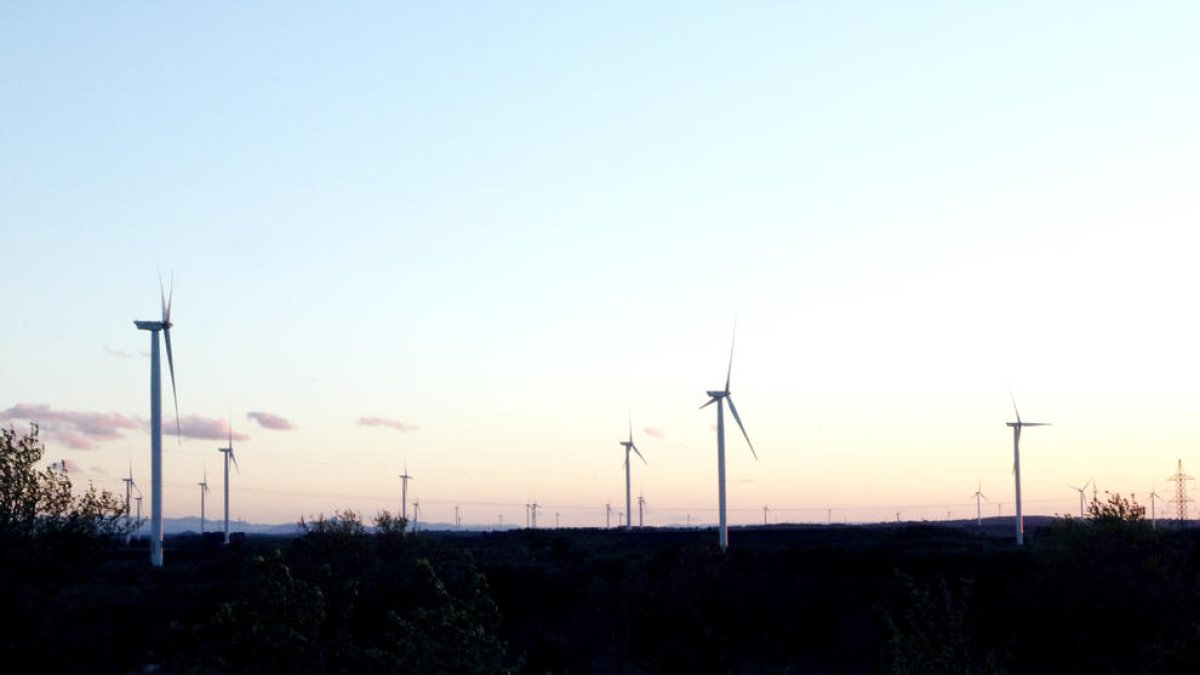 La Ponencia de Renovables acepta el emplazamiento de dos parques eólicos en la Pobla de Massaluca y Ascó