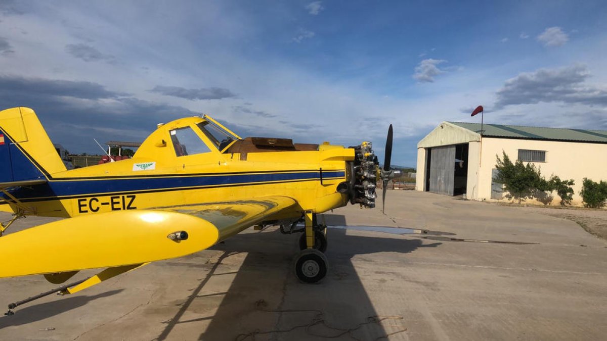 Comencen els tractaments en contra dels mosquits dels arrossars pròxims als nuclis habitats del delta de l'Ebre
