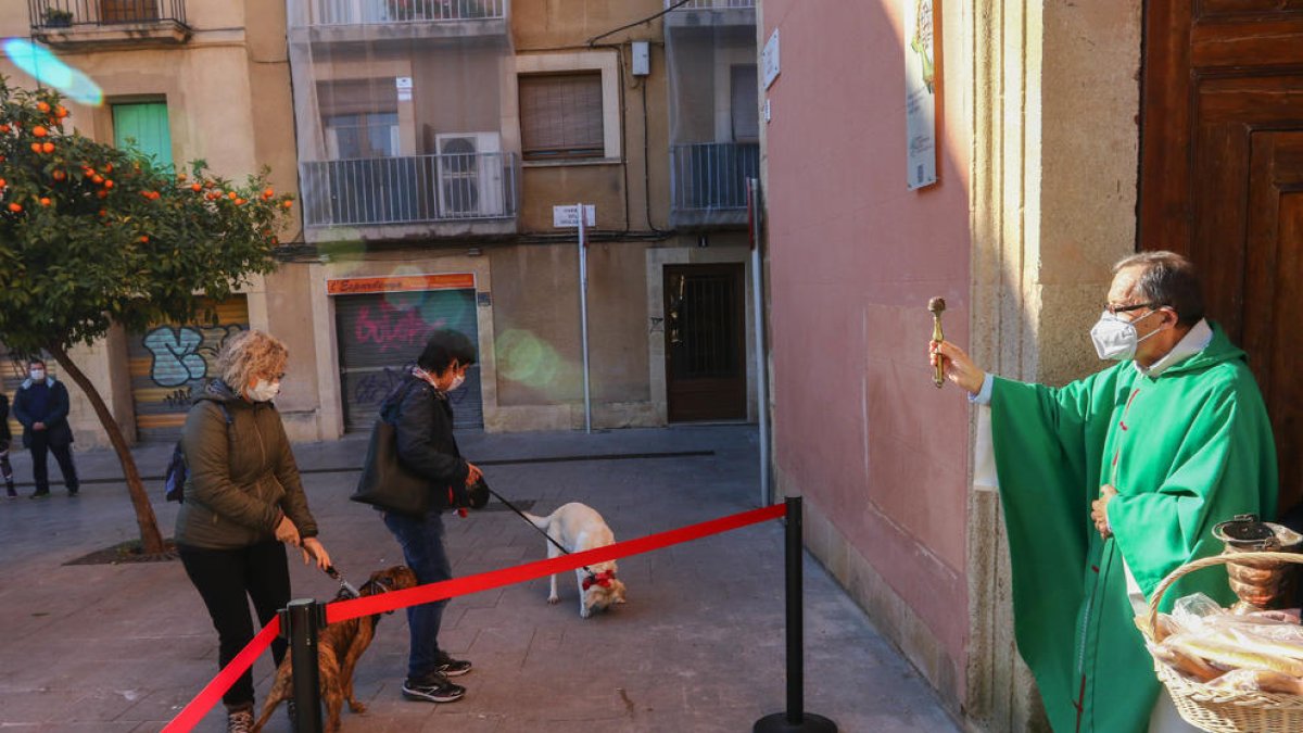 Una vintena de gossos, beneïts a Tarragona durant la festa de Sant Antoni, patró dels animals