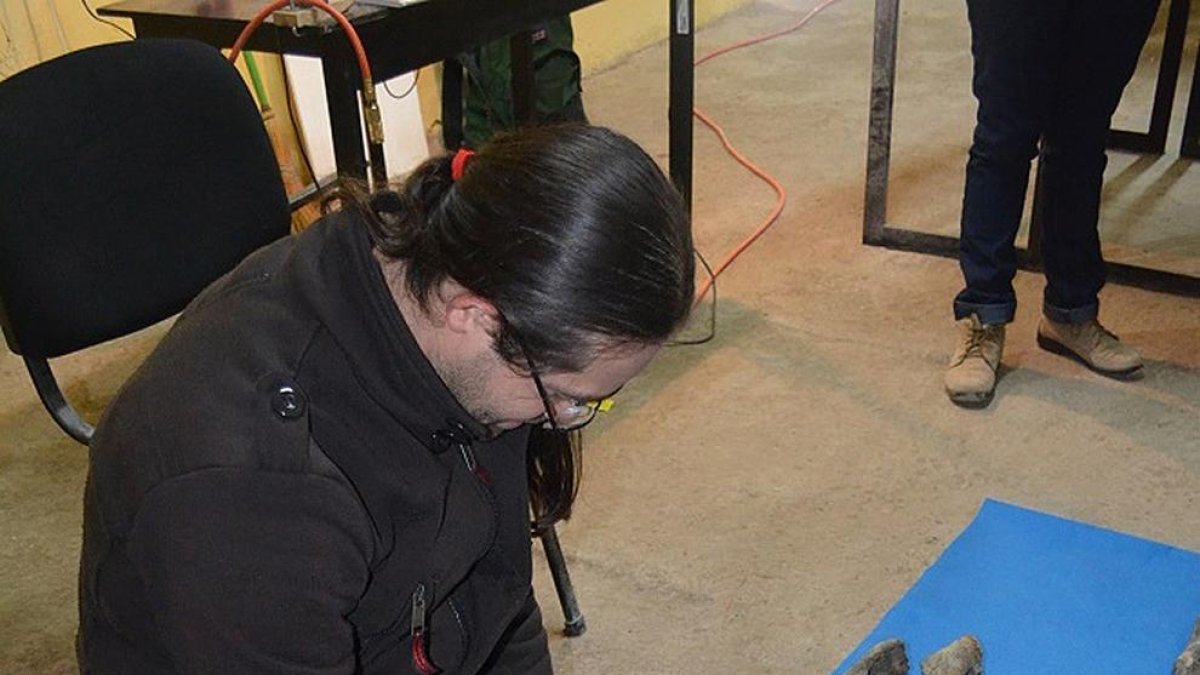 Identifiquen una nova espècie de dinosaure a Mèxic