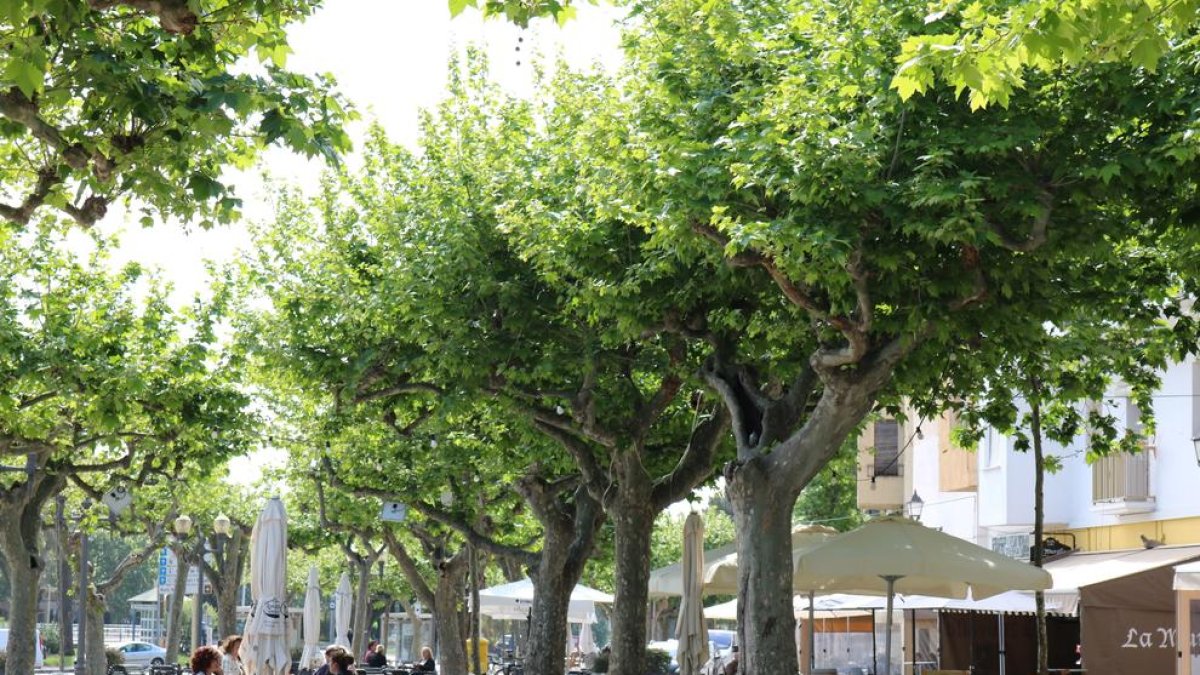 Los Buenos Cambrils ya se han agotado