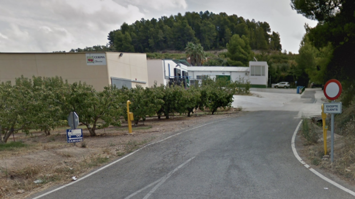 El cribatge realitzat a Cerima de Tivissa eleva a 71 els positius del brot de coronavirus que s'hi va detectar