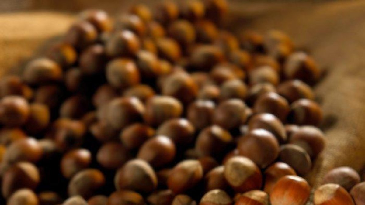 Les llars catalanes van consumir prop de mil tones d'avellanes l'any 2019