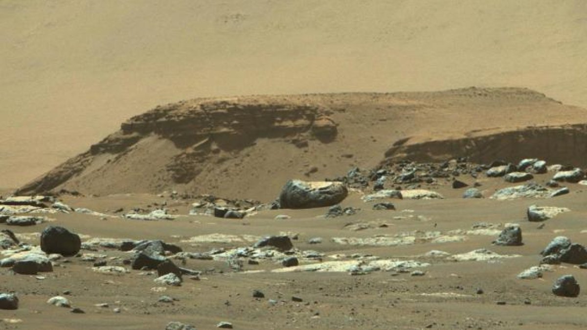 ¿Por qué sería buena noticia que no hubiera vida en Marte ni hubiera habido nunca?