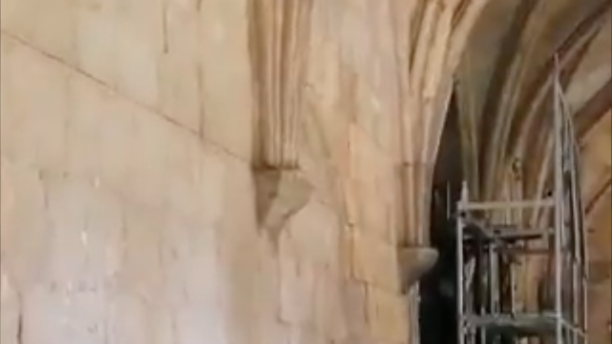 Un roomba limpia al claustro de la Catedral de Tarragona