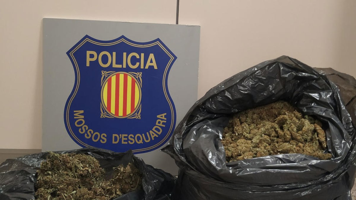 Detenen a Cunit dos homes que transportaven més de 7 quilos de marihuana