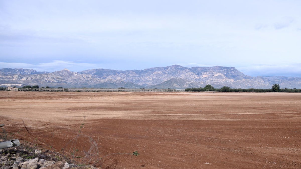 Presentan 681 alegaciones en contra del proyecto de planta de compostaje en Santa Bàrbara