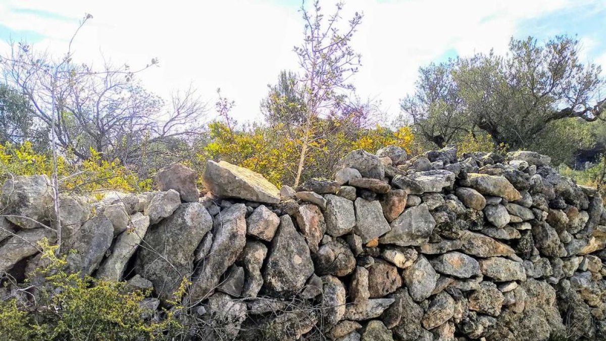 Junts per Tarragona demana catalogar, conservar i difondre les construccions de pedra seca