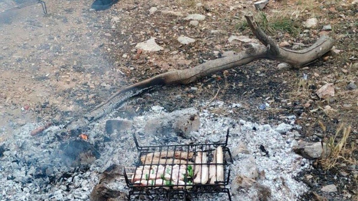 Denuncien a 20 persones per celebrar una barbacoa en un espai natural sense permís i sense les mesures anticovid a Amposta