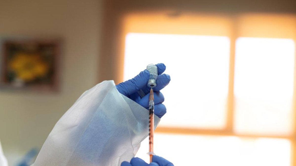 Per què muta el coronavirus?