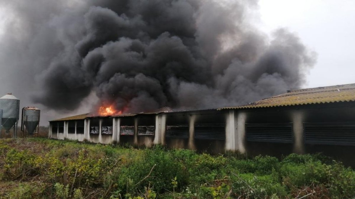 Set dotacions de Bombers treballen en l'incendi d'una granja abandonada a Riudoms