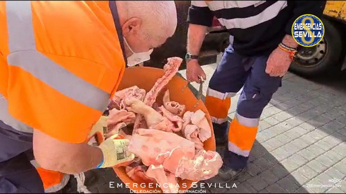 Intervenen 450 quilos de carn en mal estat en un supermercat oriental de Sevilla