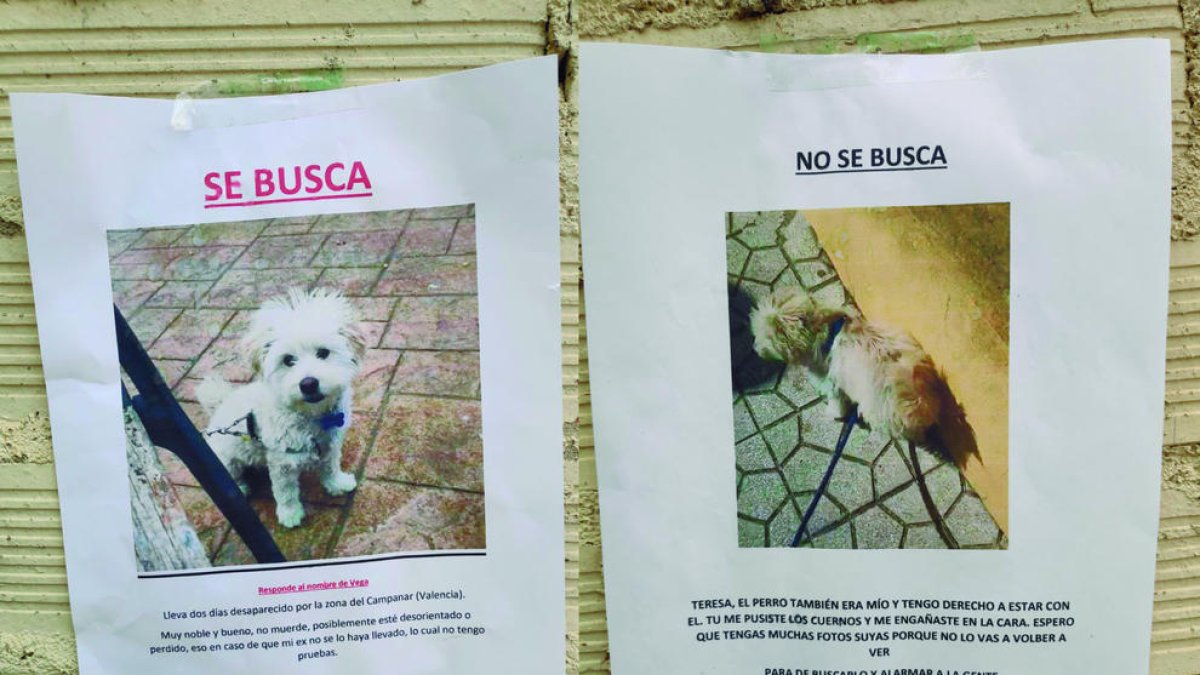 Una exparella discuteix a través dels cartells de «desaparició» del seu gos penjats al carrer