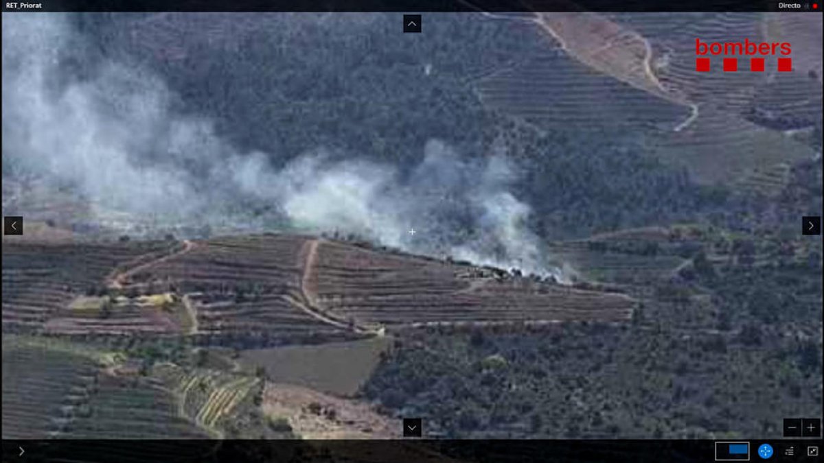 Controlado un incendio de vegetación forestal y de viñas en Gratallops