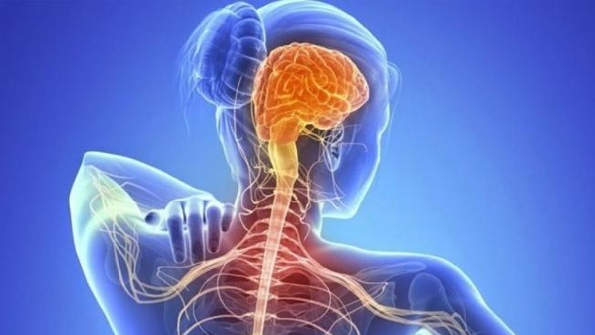 Cada dia es diagnostiquen a Espanya tres casos nous d'ELA