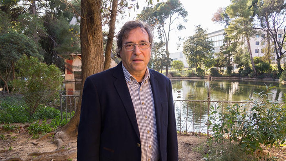 Un fàrmac contra l'osteoporosi eficaç per tractar els processos inflamatoris de la covid-19