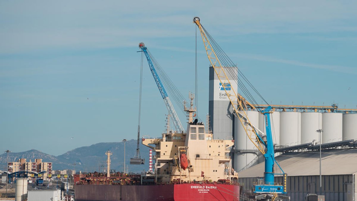 El III Agrifood International Congress se celebrarà los días 5 y 6 de mayo en formato virtual