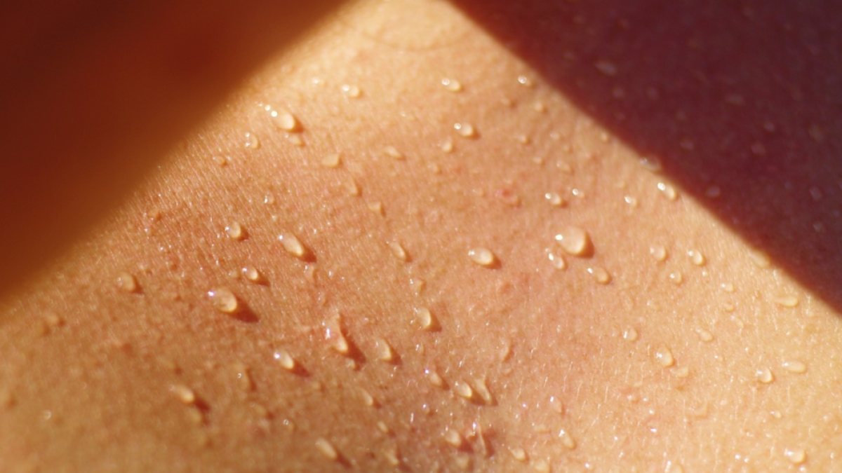 El sudor evitaría muertes por covid