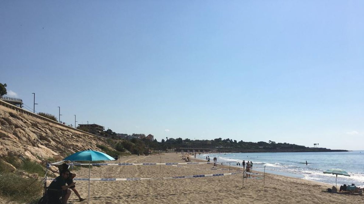Un ejemplar de tortuga careta ha hecho un nido en la playa del Milagro de Tarragona