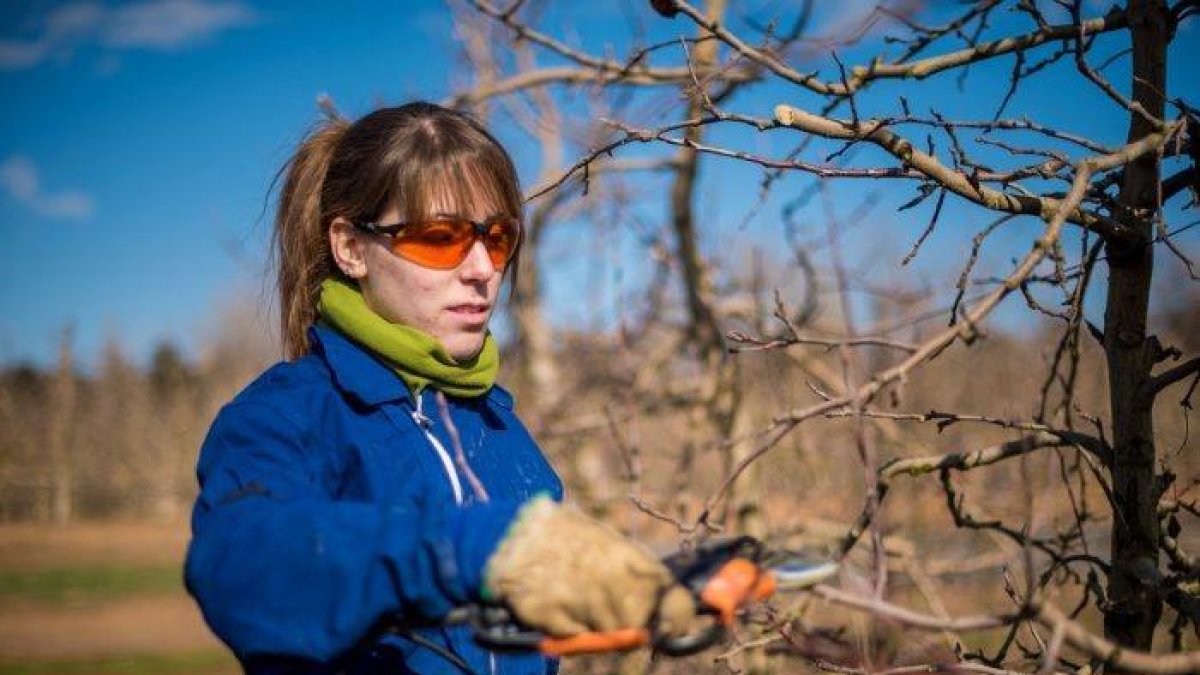 Les dones representen al voltant del 40% de les persones que treballen al sector agroalimentari