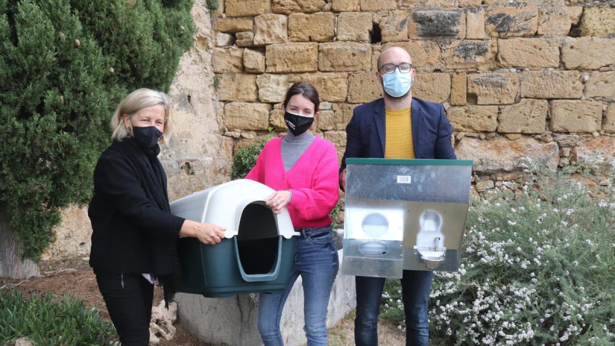 Prueba piloto para cuidar de dieciséis colonias de gatos ferales en espacios patrimoniales de Tarragona