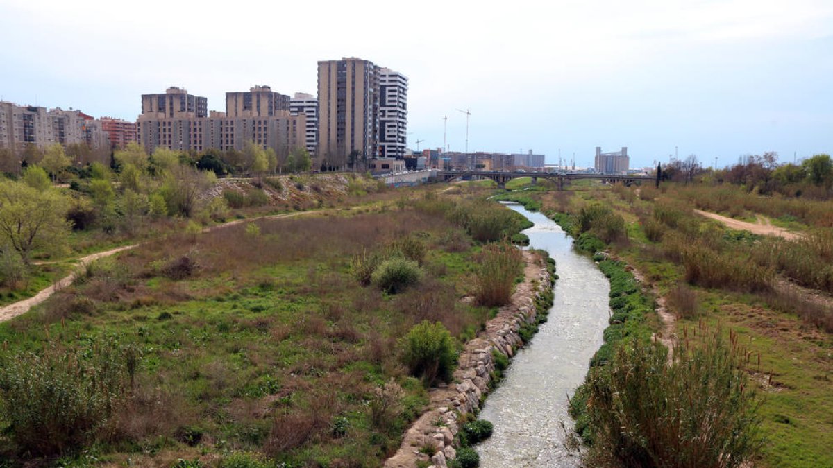 Ecologistes en Acció promou la renaturalització del tram urbà del riu Francolí a Tarragona