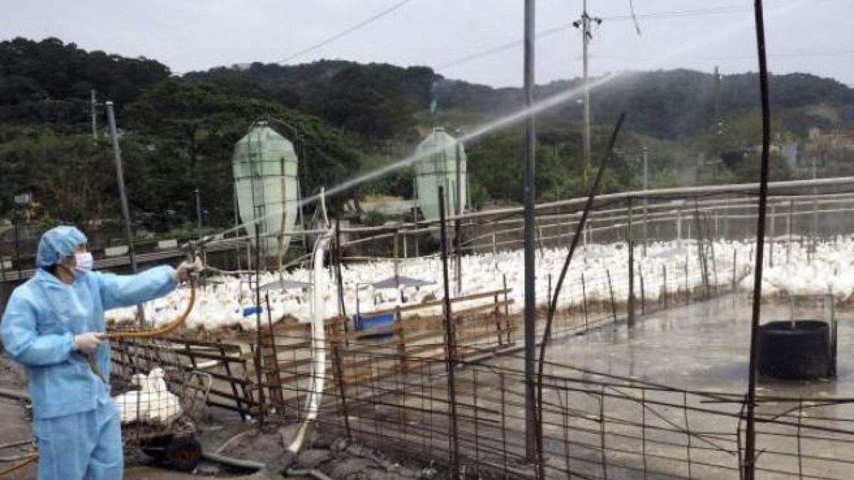 Primero avisaron de la covid y ahora alertan de un nuevo virus