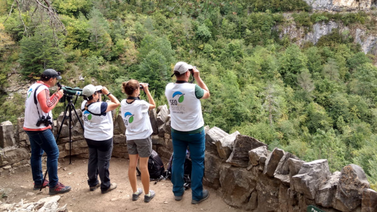 La ONG SEO/BirdLife galardonados a los Premios Olas|Ondas 2021