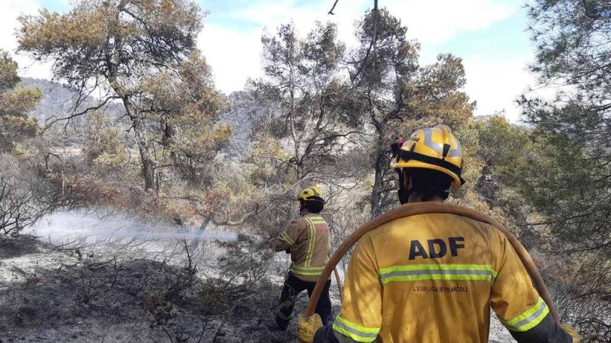 El incendio de Senan ya ha afectado a una superficie total aproximada de 41,44 hectáreas