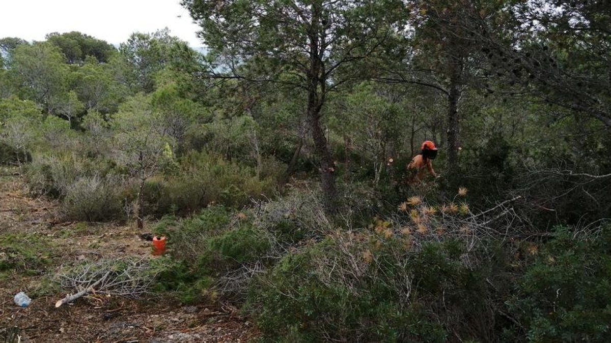 El Ayuntamiento de Vandellòs i l'Hospitalet de l'Infant mejora el entorno del espacio natural de la Playa del Turno