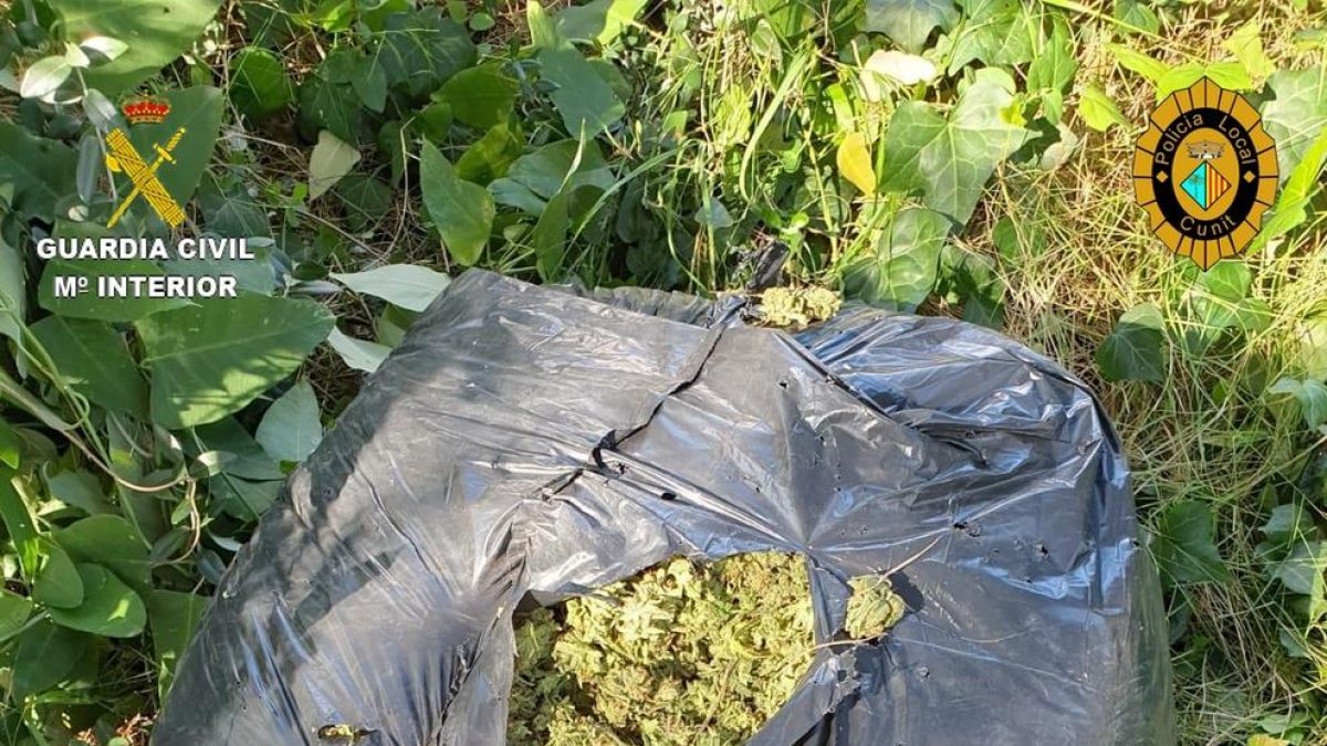 Detenen dos homes a Cunit que es dedicaven al cultiu i tràfic de marihuana