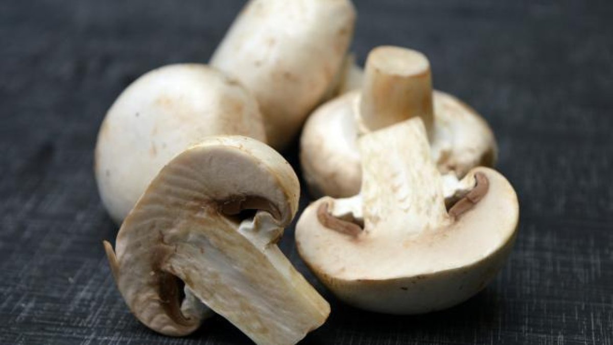 El consumo de este 'superalimento' reduce las probabilidades de sufrir cáncer, según un estudio