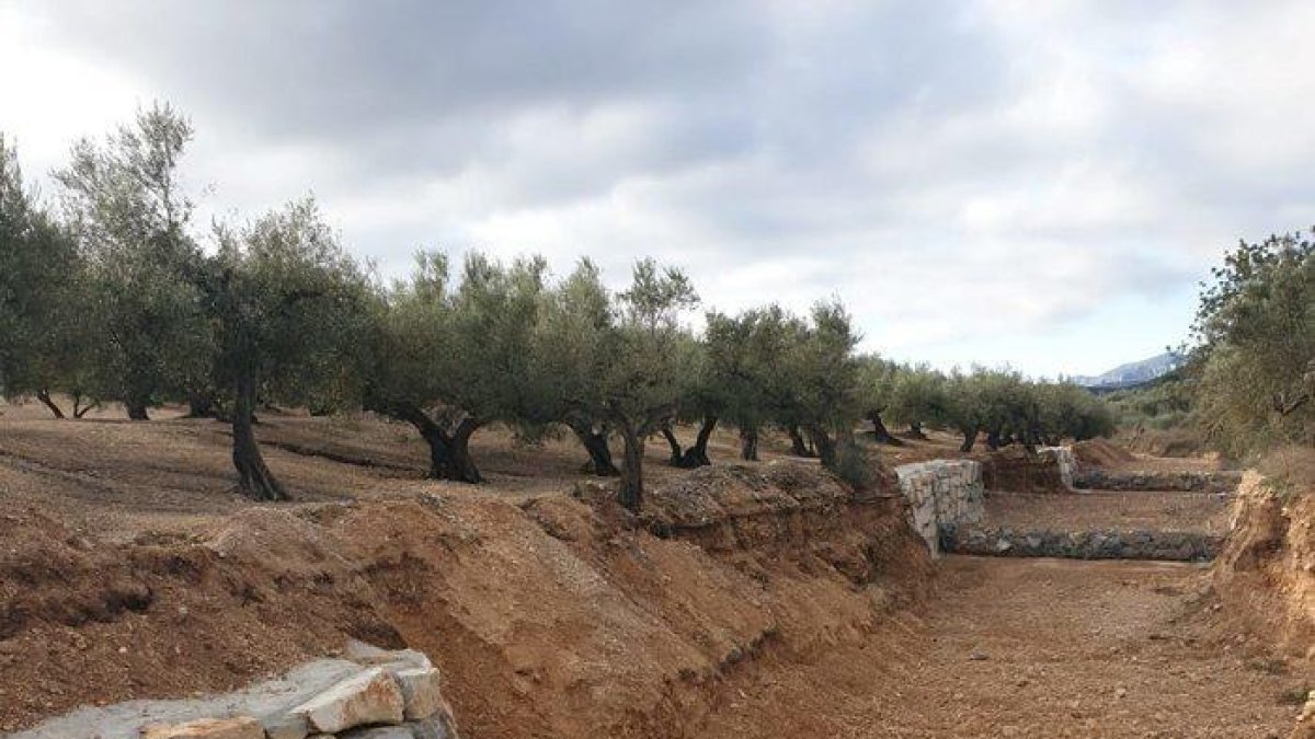 La ACA adecua tres cauces afectados por el Gloria en el Camp de Tarragona y las Terres de l'Ebre