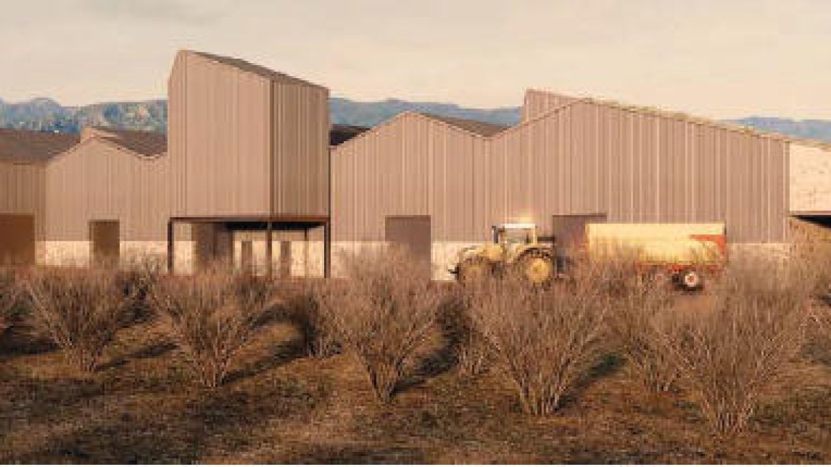 La Selva del Camp tendrá un nuevo molino de aceite en las afueras del pueblo