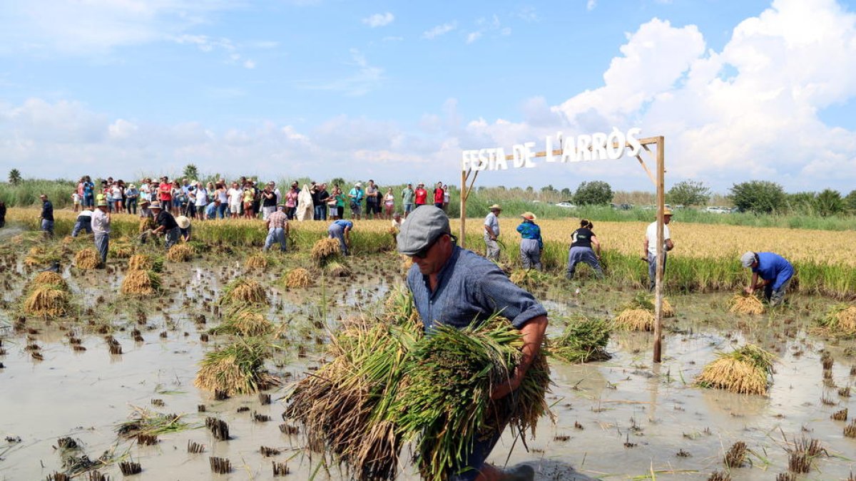 Ribera descarta en el Senado ceder la finca de Bombita al Ayuntamiento de Deltebre
