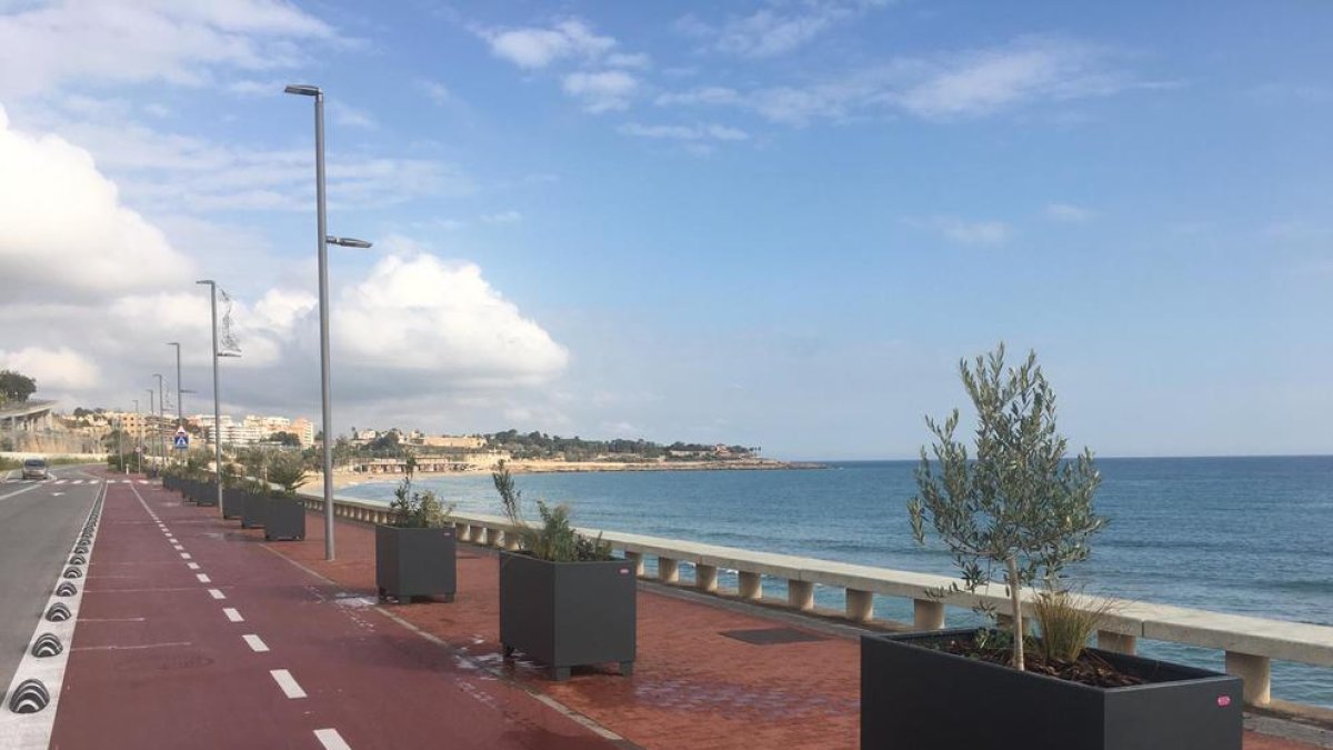 El Port col·loca nova vegetació al passeig Marítim del Miracle